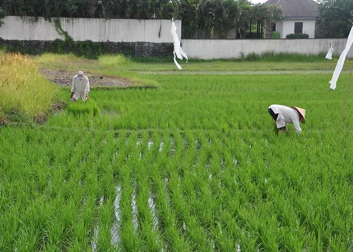 Villa Is Simple Bali *