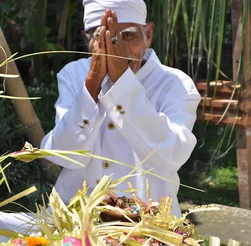 Is Simple Bali